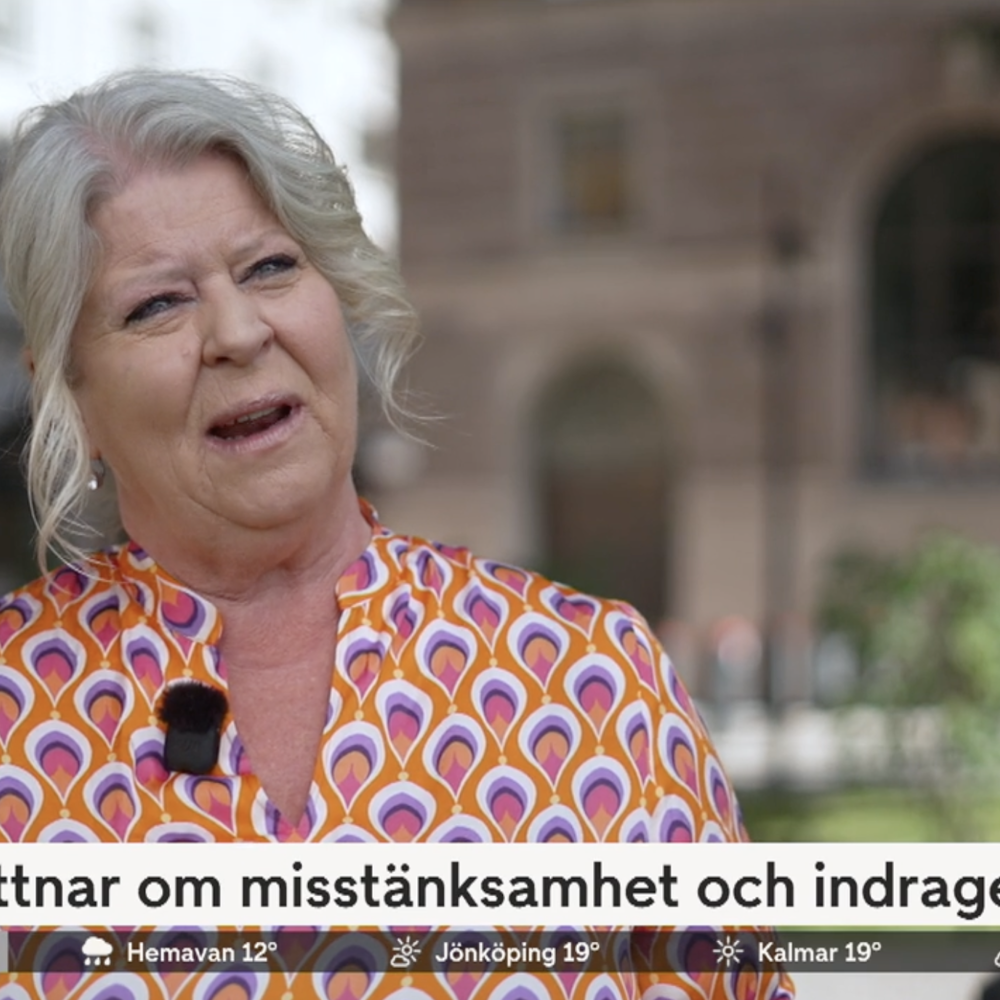 Skärmdump på Camilla Waltersson Grönwall i TV4s nyheter