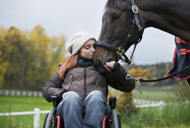 En person som sitter i rullstol är utomhus och klappar/kelar med en häst som nosar på hennes hand.